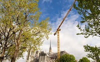 notre dame site